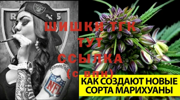 скорость Гусев