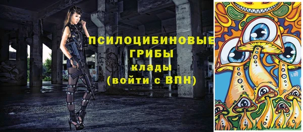 скорость Гусев