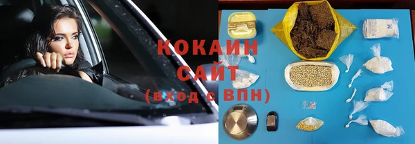 стаф Гусь-Хрустальный