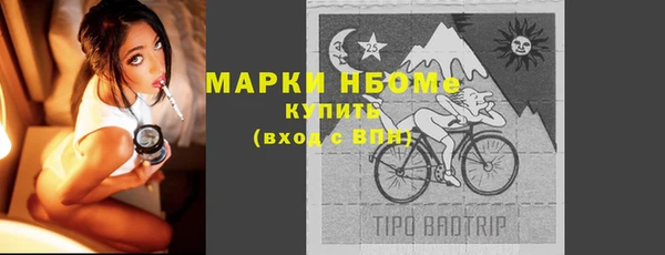 стаф Гусь-Хрустальный