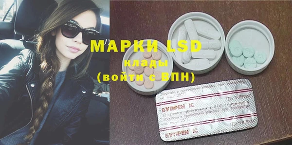 стаф Гусь-Хрустальный