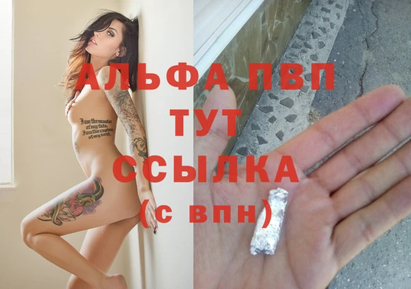 стаф Гусь-Хрустальный