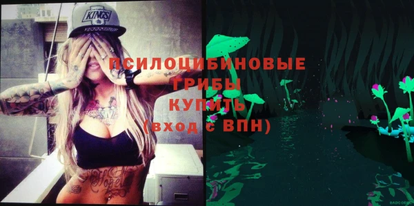 прущая мука Горно-Алтайск