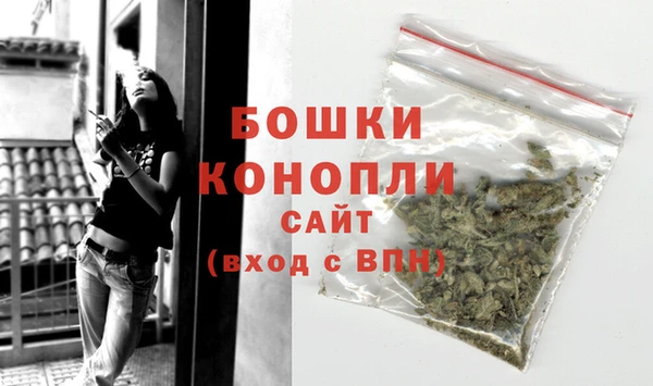 стаф Гусь-Хрустальный